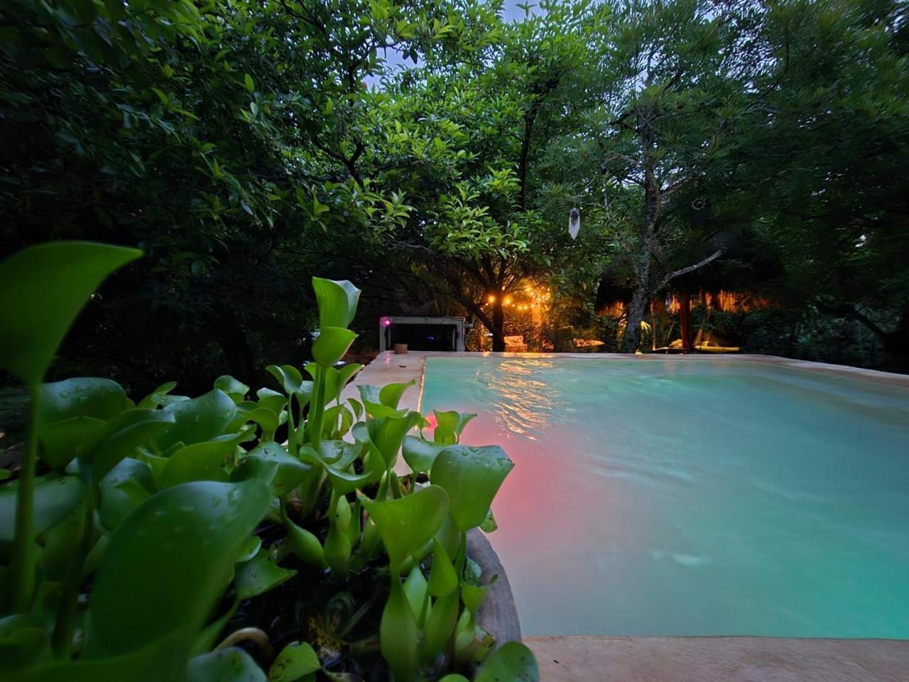 Country house Oz *